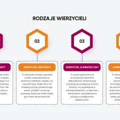 Rodzaje wierzycieli: osobisty, rzeczowy, alimentacyjny, hipoteczny. Każdy wierzyciel ma inne prawa.