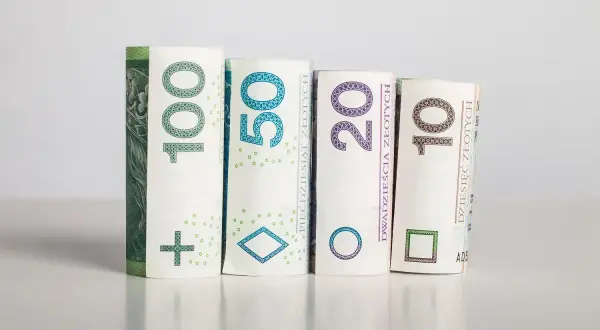 Zwijane banknoty 100, 50, 20 i 10 zł. Klucz do tego, jak obliczyć rentowność firmy, tkwi w analizie finansowej.