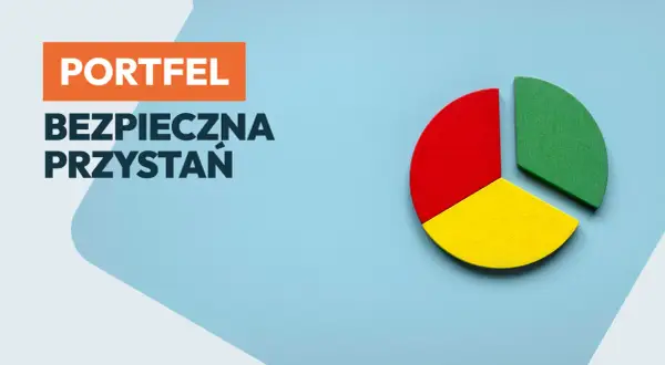 Portfel: bezpieczna przystań. Czy warto inwestować w obligacje? Kolorowy wykres kołowy symbolizuje dywersyfikację.