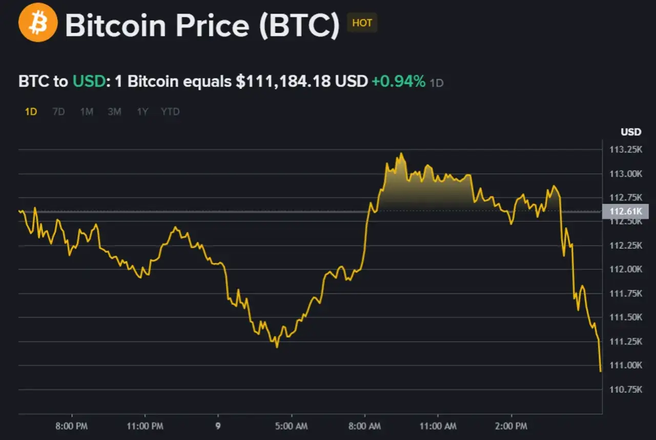 Wykres ceny Bitcoina (BTC) pokazuje wahania kursu, co może być pomocne przy decyzji, ile trzeba zainwestować w kryptowaluty.