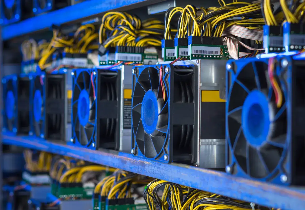 Rzędy wentylator&oacute;w i ż&oacute;łto-czarne kable zasilające w serwerowni pokazują, jak działa koparka kryptowaluty.